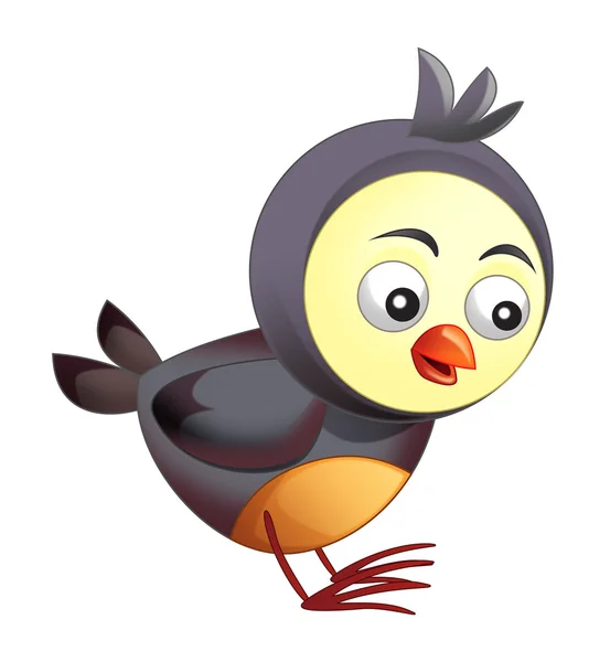 Αστεία πολύχρωμο πουλί κινουμένων σχεδίων — Φωτογραφία Αρχείου