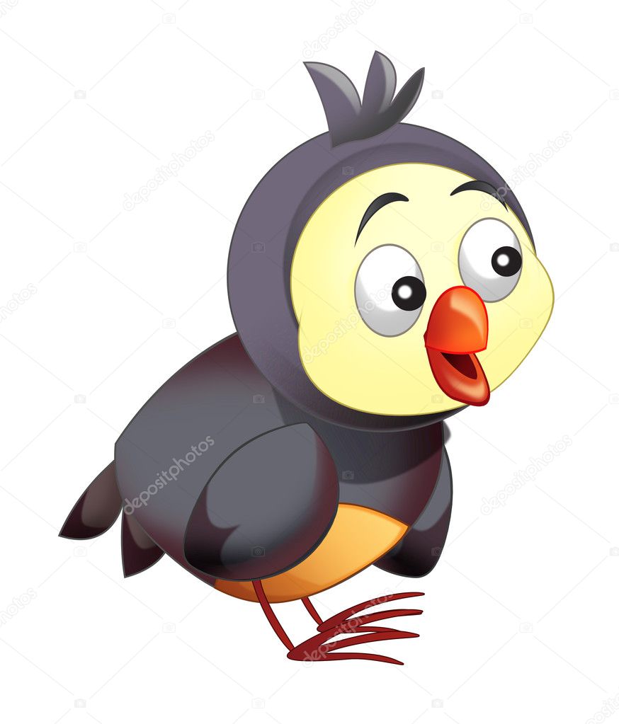 Cartoon funny colorful bird 