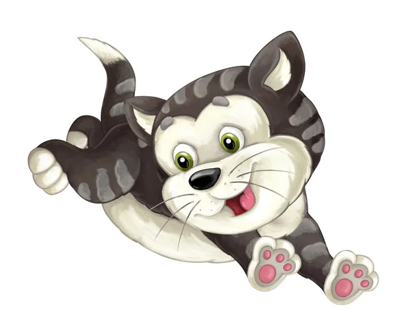 Desenhos animados gato feliz está pulando e olhando — Fotografia de Stock