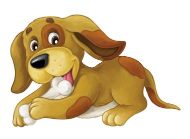 köpek uzanmış - kemik yalama ve seyir 