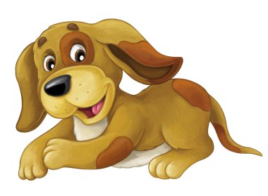 Köpek gülümsüyor ve seyir dinlenme aşağı - yalan söylüyor 