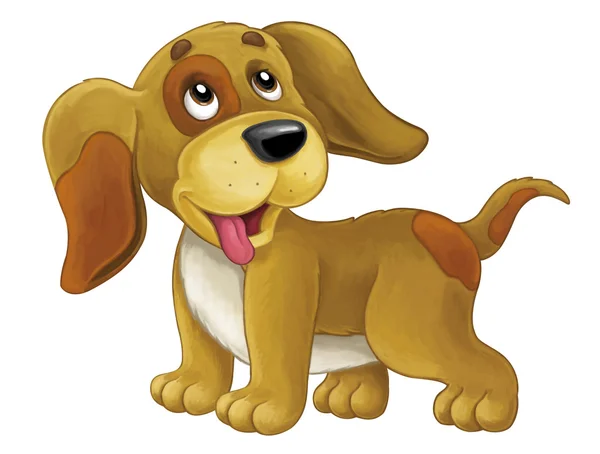 Dibujos animados perro feliz está de pie y mirando —  Fotos de Stock