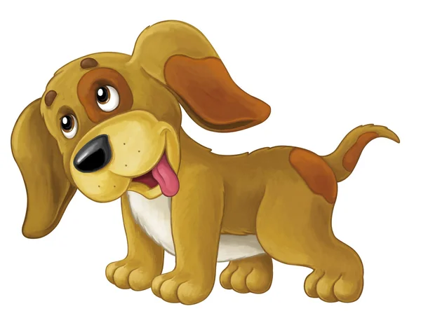 Cartoon happy dog is standing and looking — Stock Photo, Image