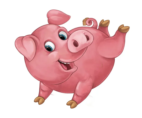 Happy pig is jumping, running, smiling and looking — Stockfoto