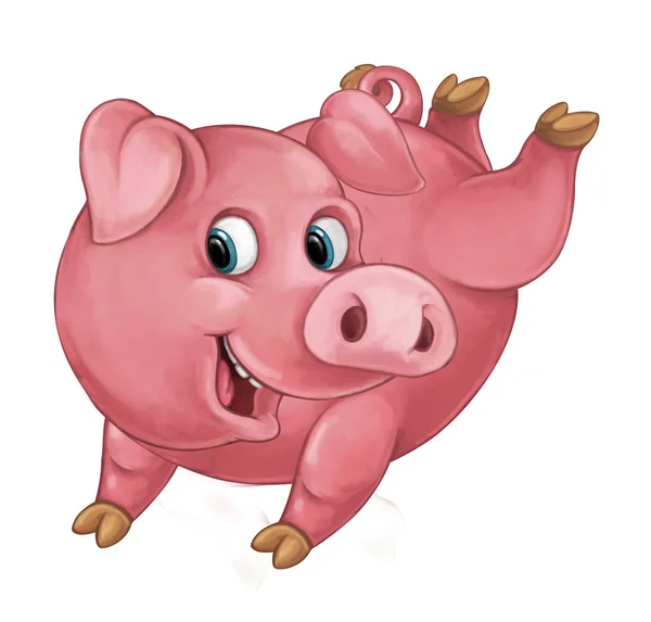 Cerdo feliz está saltando, corriendo, sonriendo y mirando — Foto de Stock