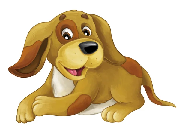 Zeichentrickfilm glücklicher Hund legt sich hin - lächelnd ausruhen und gucken - künstlerischer Stil - isoliert - Illustration für Kinder — Stockfoto