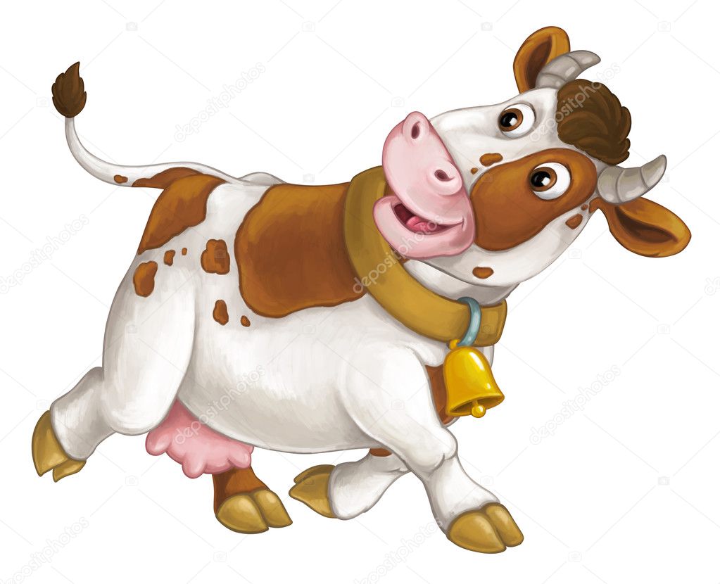 cheerful cow is running, smiling and looking