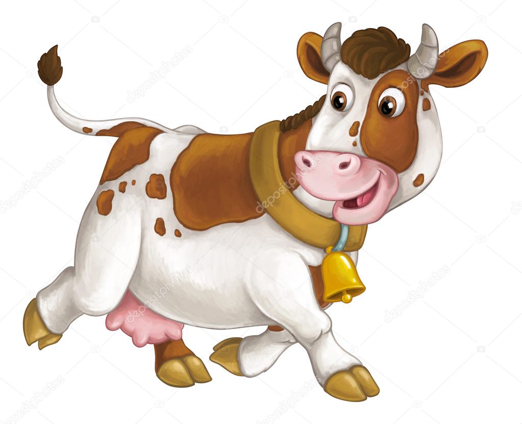 cheerful cow is running, smiling and looking
