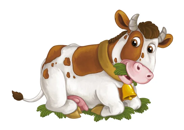 Vaca está deitada descansando, olhando e comendo grama — Fotografia de Stock