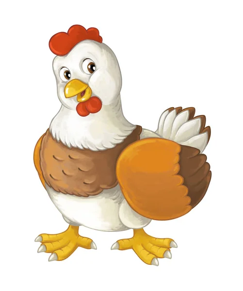 Cheerful hen is standing, smiling and looking — Stock Photo, Image