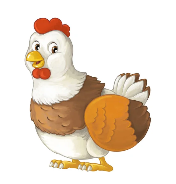 Cheerful hen is standing, smiling and looking — Stock Photo, Image