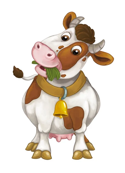 Vaca está de pé, descansando, olhando e comendo grama — Fotografia de Stock