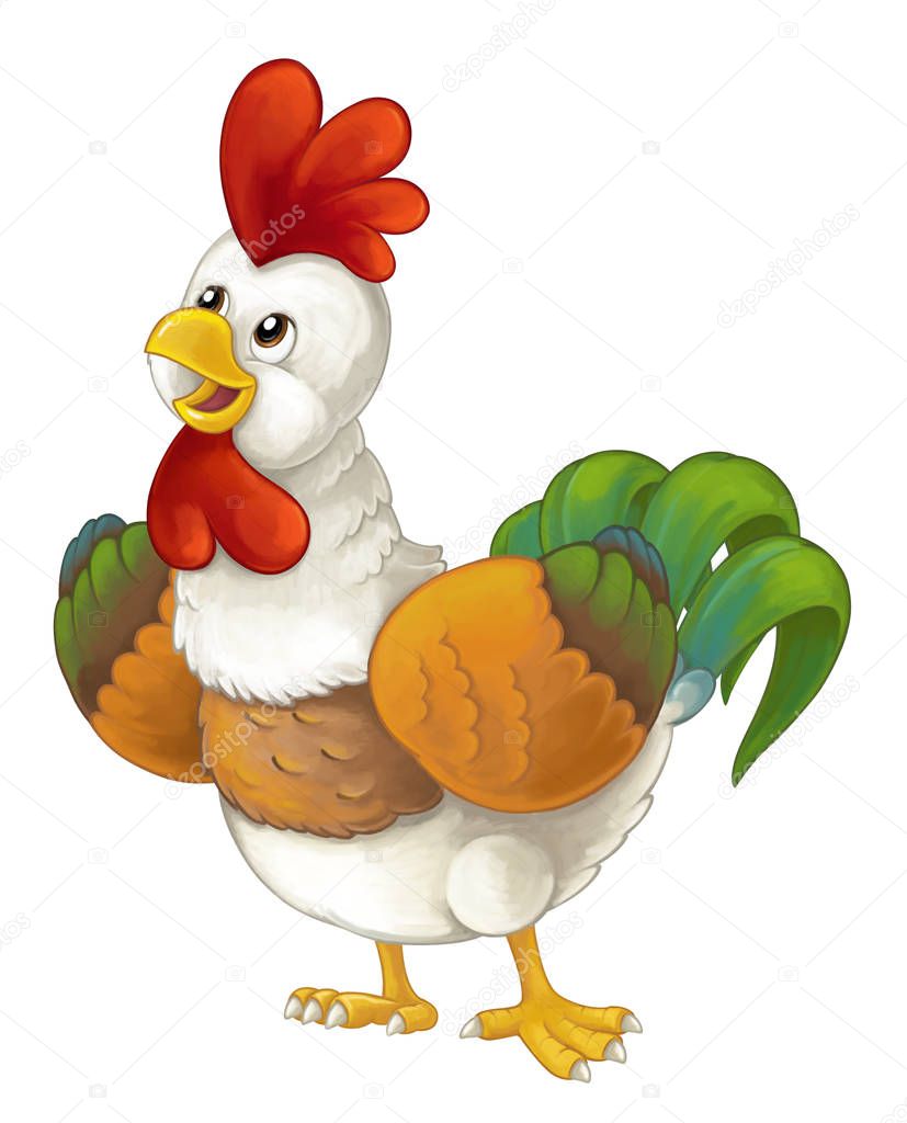 cheerful rooster is standing, smiling and looking