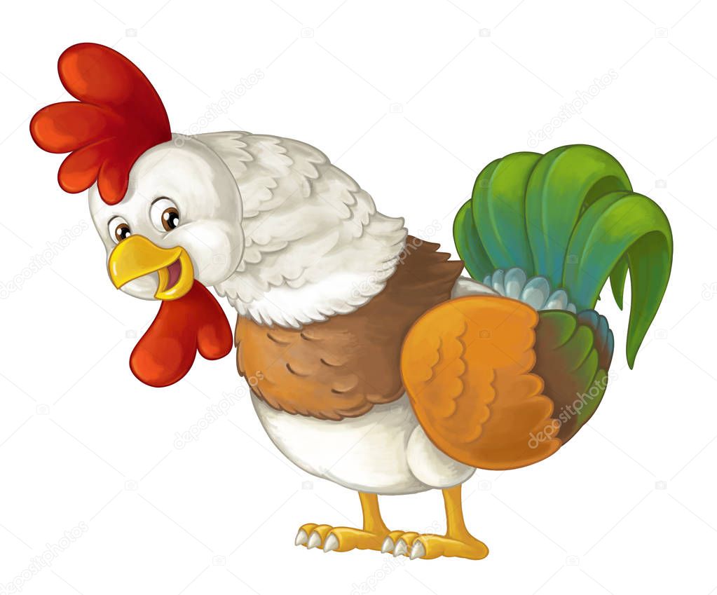 cheerful rooster is standing, smiling and looking