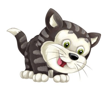 mutlu kedi gülümseyen ve seyir ayakta