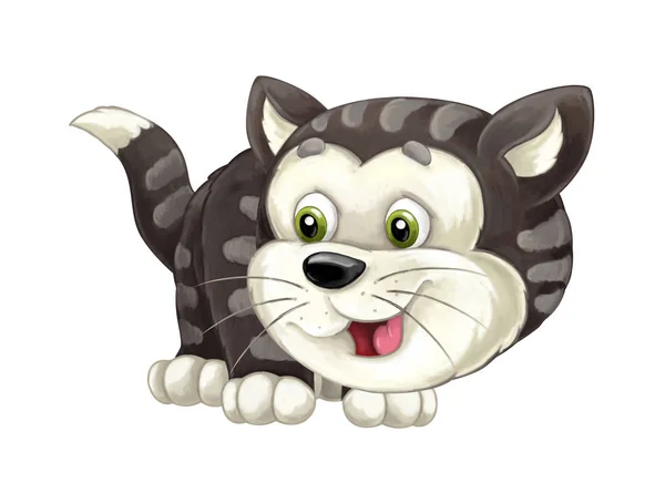 Dibujos animados gato feliz está de pie sonriendo y mirando - estilo artístico - aislado - ilustración para niños —  Fotos de Stock