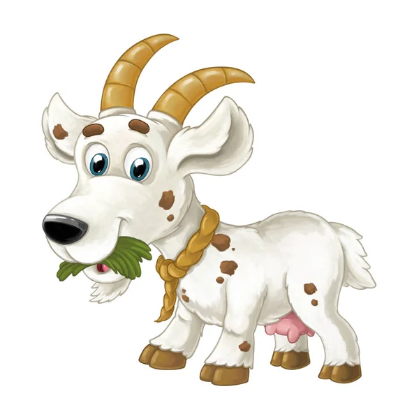 Cabra con cuernos está comiendo hierba, mirando y sonriendo —  Fotos de Stock