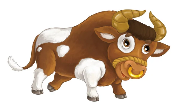 Cheerful bull is running, smiling and looking — Stock Photo, Image