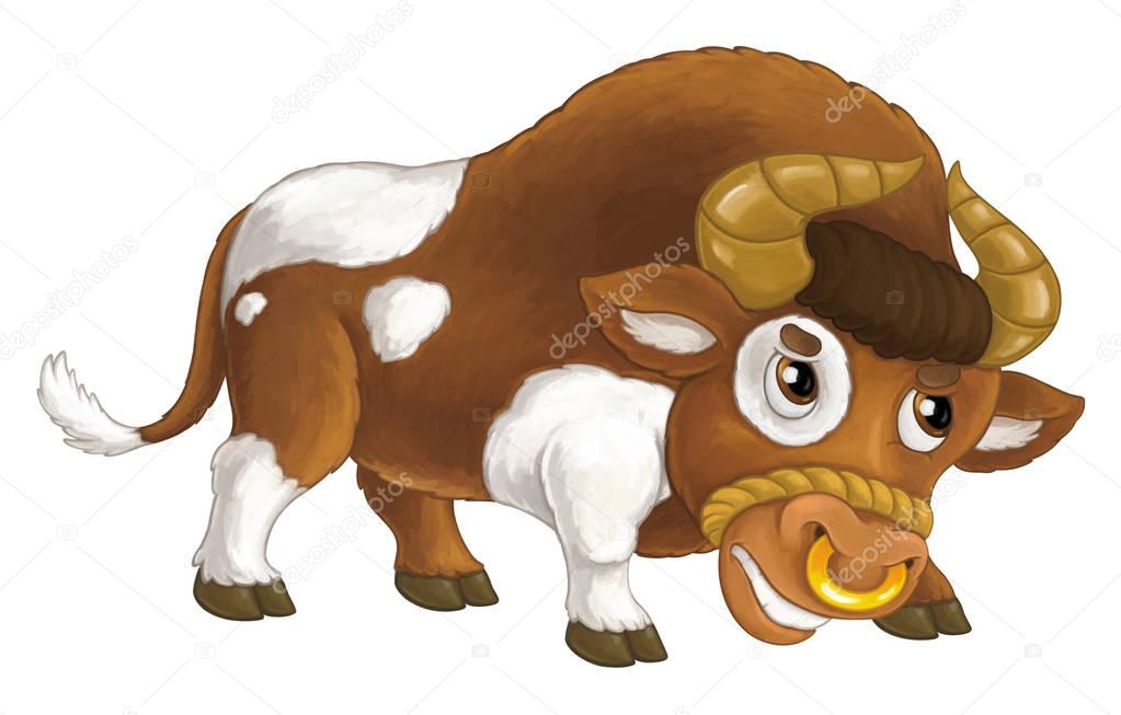 angry bull is standing, looking and preparing for attack