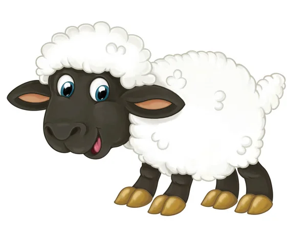 Счастливая овца стоит, смотрит и улыбается — стоковое фото