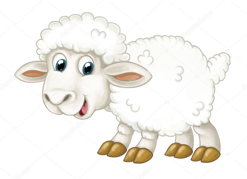 happy sheep is standing, looking and smiling