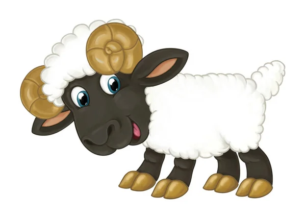 Рогатая овца стоит, глядя и улыбаясь — стоковое фото