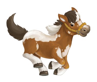 at koşma, atlama, gülümseyen arıyorsunuz ve