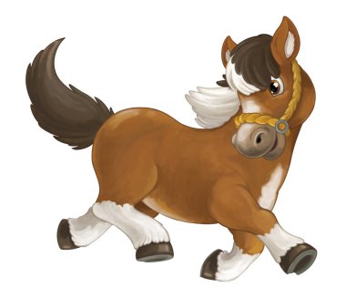 at koşma, atlama, gülümseyen arıyorsunuz ve