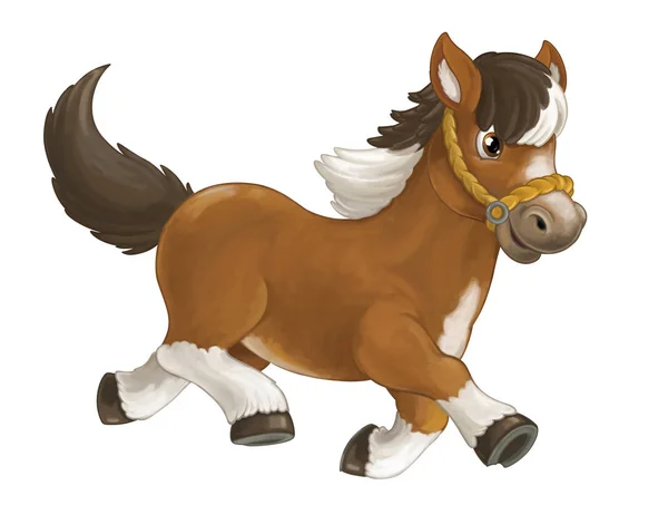 Horse is running, jumping, smiling and looking — Stock Photo, Image