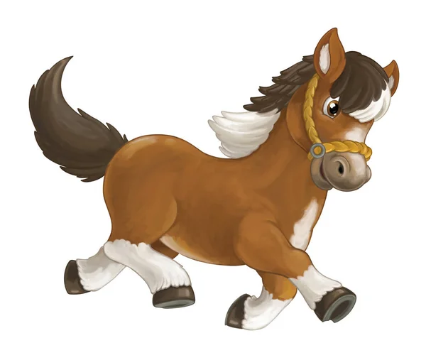 Cavalo está correndo, pulando, sorrindo e olhando — Fotografia de Stock