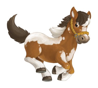 at koşma, atlama, gülümseyen arıyorsunuz ve