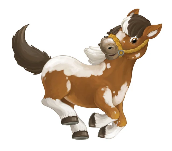 ⬇ Скачать картинки Лошадка пони мультик, стоковые фото Лошадка пони мультик в хорошем качестве | Depositphotos