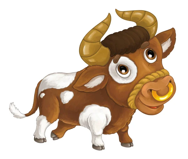 Animal de granja - toro alegre —  Fotos de Stock