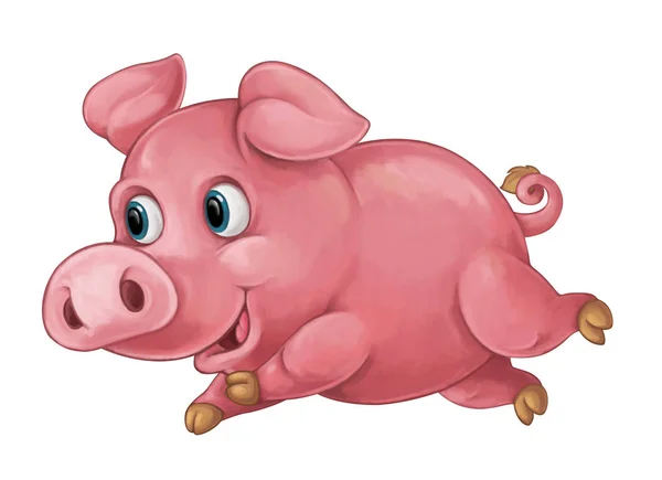 Cartoon glückliches Schwein schaut und lächelt — Stockfoto
