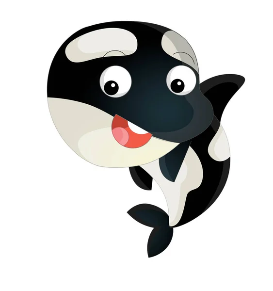 Cartoon sea killer whale — Stock Photo, Image