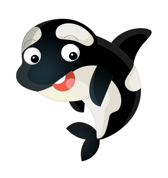 Cartoon sea killer whale — Stock Photo, Image