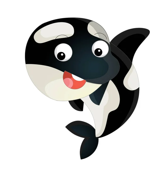 Cartoon sea killer whale — Stock Photo, Image