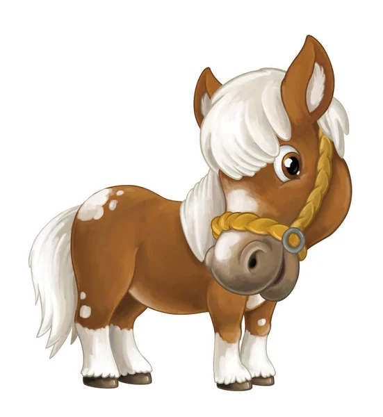 Cartoon happy horse — Stock Photo, Image