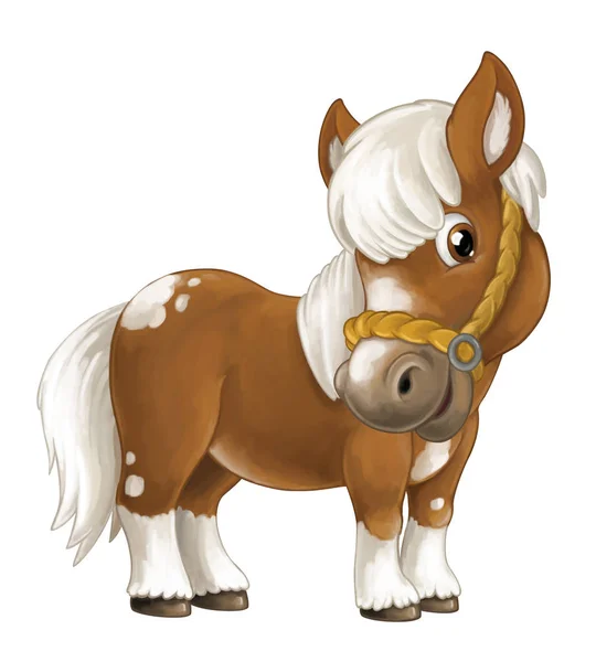 Cartoon happy horse — Stock Photo, Image