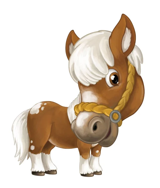 Карикатурный счастливый конь — стоковое фото