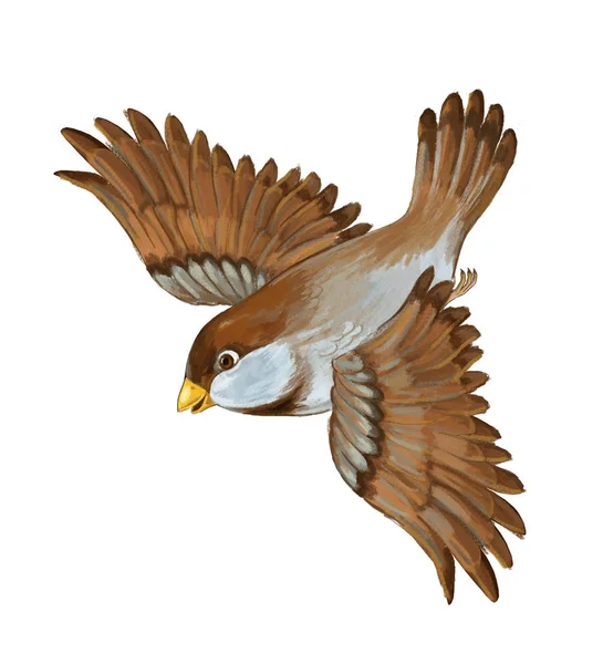 Cartoon Vogel Sparrow Vliegen Illustratie Voor Kinderen — Stockfoto