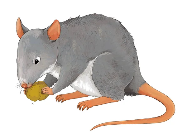 Tecknad Djur Råtta Någon Aktivitet Illustration För Barn — Stockfoto