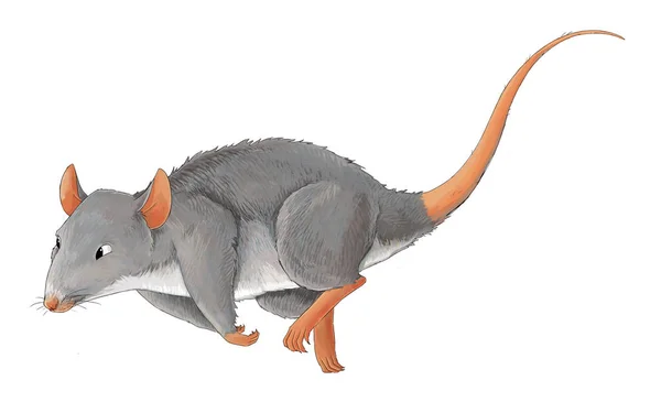 Kreskówka Animal Szczur Niektóre Działania Ilustracja Dla Dzieci — Zdjęcie stockowe