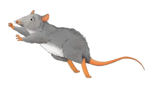 Animal Dos Desenhos Animados Rato Alguma Atividade Ilustração Para Crianças — Fotografia de Stock