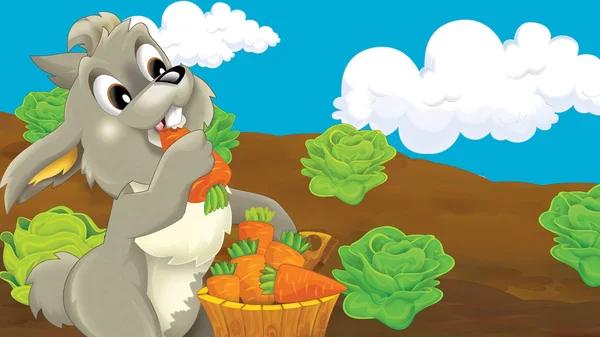 cartoon scene with happy rabbit eating carrots - illustration for children