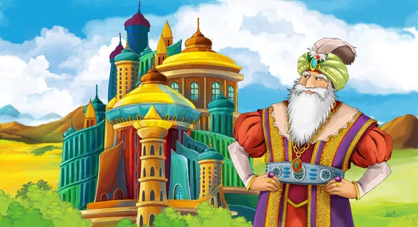 Γελοιογραφία Σκηνή Βασιλιά Στέκεται Μπροστά Από Κάποιο Κάστρο Εικονογράφηση Για — Φωτογραφία Αρχείου
