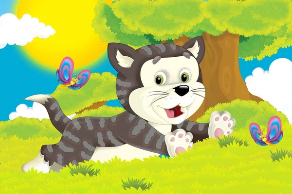 Мультяшна сцена з кішкою розважається на фермі - ілюстрація для дітей — стокове фото