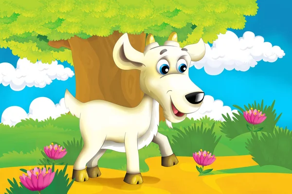 Cartoon farm scéna se zvířecí kozou baví - ilustrace pro děti — Stock fotografie