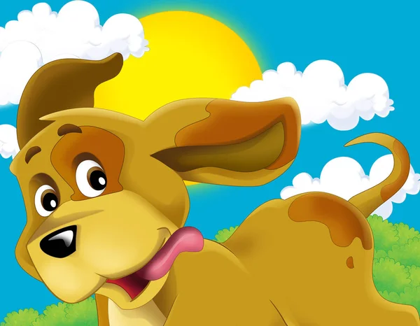 Tecknad scen med hund på en gård som har roligt - illustration för barn — Stockfoto