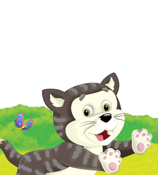 Cartoon scene with cat having fun on the farm on white background - illustration for children — Stock Photo, Image